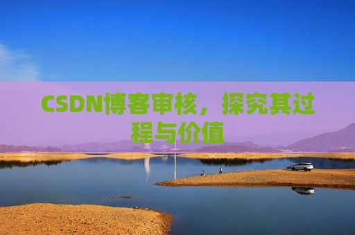 CSDN博客审核，探究其过程与价值