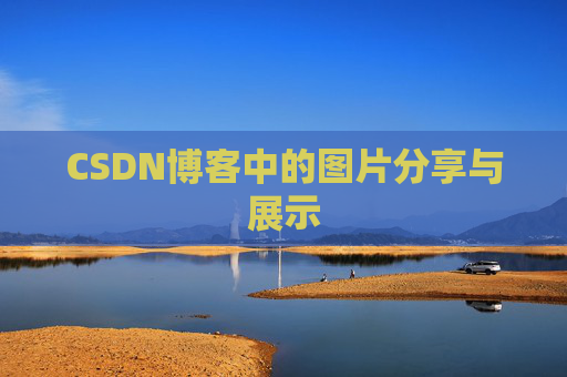 CSDN博客中的图片分享与展示